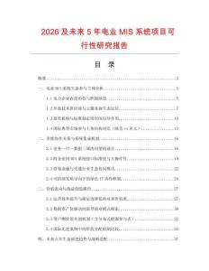 2026及未來5年電業(yè)MIS系統(tǒng)項目可行性研究報告