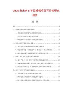 2026及未來5年拉矯輥項目可行性研究報告