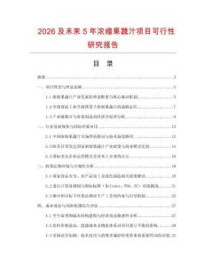 2026及未來5年濃縮果蔬汁項目可行性研究報告