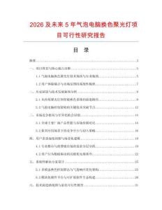 2026及未來5年氣泡電腦換色聚光燈項(xiàng)目可行性研究報(bào)告