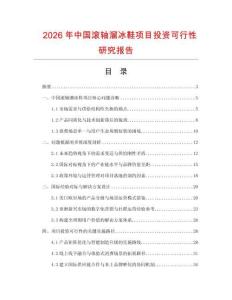 2026年中國(guó)滾軸溜冰鞋項(xiàng)目投資可行性研究報(bào)告
