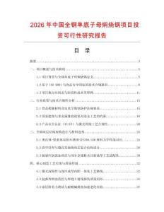 2026年中國全鋼單底子母燜燒鍋項目投資可行性研究報告