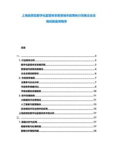 上海自貿(mào)區(qū)數(shù)字化監(jiān)管體系智慧城市政策執(zhí)行效果企業(yè)合規(guī)動(dòng)能監(jiān)測(cè)程序