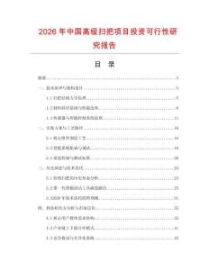 2026年中國高級掃把項目投資可行性研究報告