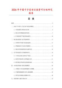 2026年中國卡子發項目投資可行性研究報告