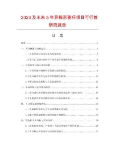 2026及未來5年異鞍形瓷環(huán)項(xiàng)目可行性研究報(bào)告