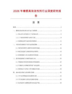 2026年橡塑高效改性劑行業深度研究報告