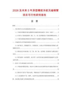 2026及未來5年異型精密冷拔無縫鋼管項目可行性研究報告