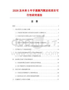 2026及未來5年手提蒸汽熨皮機項目可行性研究報告