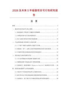 2026及未來(lái)5年板鼓項(xiàng)目可行性研究報(bào)告
