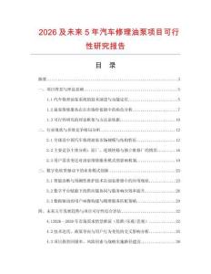 2026及未來5年汽車修理油泵項目可行性研究報告