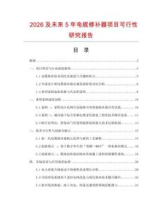 2026及未來5年電纜修補(bǔ)器項目可行性研究報告