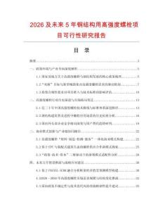 2026及未來5年鋼結(jié)構(gòu)用高強(qiáng)度螺栓項(xiàng)目可行性研究報(bào)告