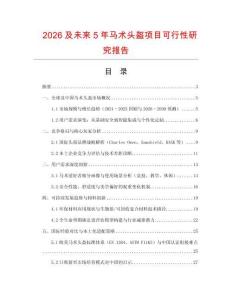 2026及未來5年馬術頭盔項目可行性研究報告