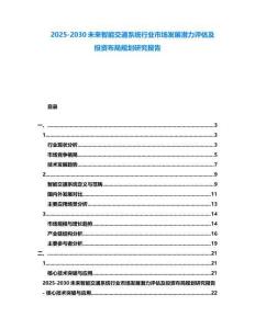 2025-2030未來智能交通系統(tǒng)行業(yè)市場發(fā)展?jié)摿υu估及投資布局規(guī)劃研究報告