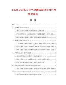 2026及未來5年氣動(dòng)翻轉(zhuǎn)犁項(xiàng)目可行性研究報(bào)告