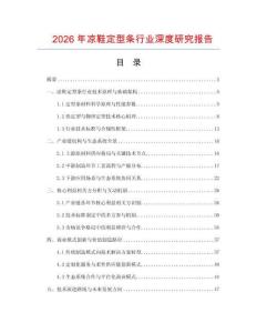 2026年涼鞋定型條行業深度研究報告