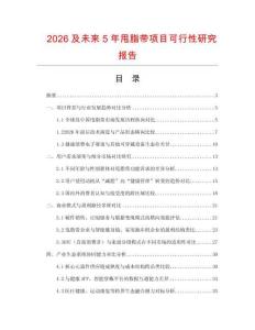2026及未來(lái)5年甩脂帶項(xiàng)目可行性研究報(bào)告