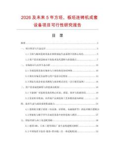 2026及未來5年方坯、板坯連鑄機(jī)成套設(shè)備項目可行性研究報告