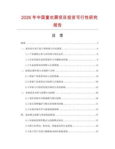 2026年中國(guó)童坎肩項(xiàng)目投資可行性研究報(bào)告