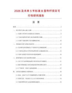 2026及未來(lái)5年標(biāo)準(zhǔn)B型導(dǎo)桿項(xiàng)目可行性研究報(bào)告
