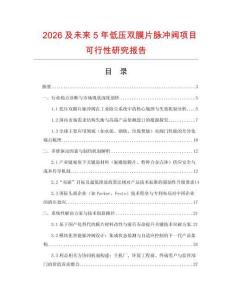 2026及未來(lái)5年低壓雙膜片脈沖閥項(xiàng)目可行性研究報(bào)告