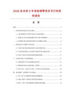 2026及未來5年消音鋼琴項(xiàng)目可行性研究報(bào)告