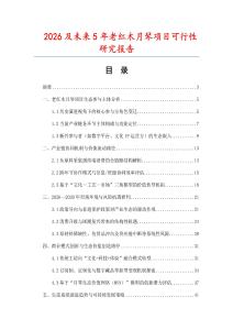 2026及未來5年老紅木月琴項目可行性研究報告