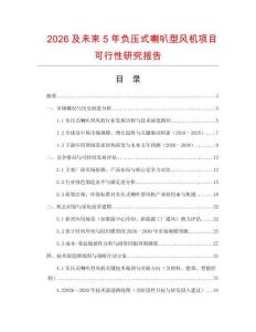 2026及未來(lái)5年負(fù)壓式喇叭型風(fēng)機(jī)項(xiàng)目可行性研究報(bào)告