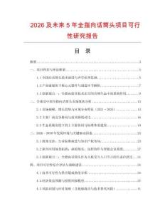 2026及未來(lái)5年全指向話筒頭項(xiàng)目可行性研究報(bào)告