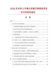 2026及未來5年氧化鋅復(fù)印制版紙項(xiàng)目可行性研究報(bào)告