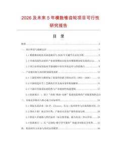 2026及未來5年模數(shù)錐齒輪項目可行性研究報告