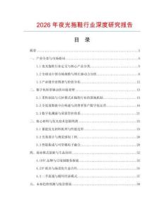 2026年夜光拖鞋行業深度研究報告