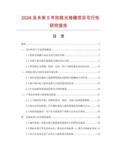 2026及未來5年防眩光格柵項(xiàng)目可行性研究報(bào)告