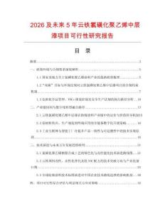 2026及未來5年云鐵氯磺化聚乙烯中層漆項目可行性研究報告
