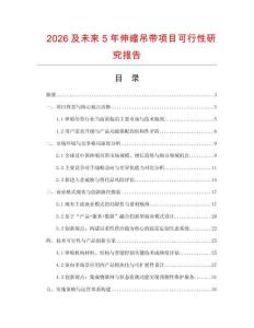 2026及未來5年伸縮吊帶項目可行性研究報告
