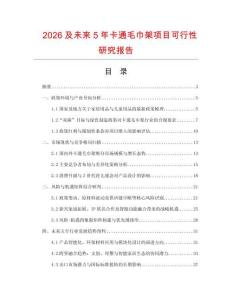 2026及未來(lái)5年卡通毛巾架項(xiàng)目可行性研究報(bào)告