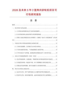 2026及未來(lái)5年小型角向砂輪機(jī)項(xiàng)目可行性研究報(bào)告