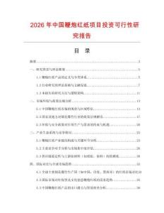 2026年中國(guó)鞭炮紅紙項(xiàng)目投資可行性研究報(bào)告