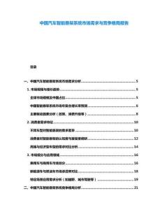 中國(guó)汽車(chē)智能懸架系統(tǒng)市場(chǎng)需求與競(jìng)爭(zhēng)格局報(bào)告