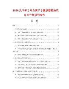2026及未來(lái)5年負(fù)離子水囊按摩鞋墊項(xiàng)目可行性研究報(bào)告