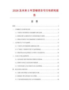 2026及未來5年頂銷項(xiàng)目可行性研究報(bào)告