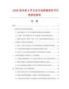 2026及未來5年衛(wèi)生巾包裝袋項目可行性研究報告