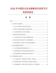 2026年中國反光安全胸章項目投資可行性研究報告