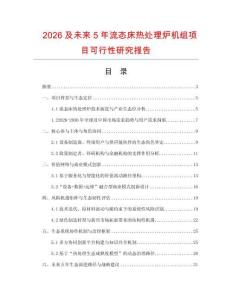 2026及未來5年流態(tài)床熱處理爐機組項目可行性研究報告