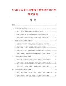 2026及未來5年鍍鋅五金件項(xiàng)目可行性研究報(bào)告