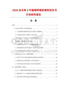 2026及未來(lái)5年碳鋼帶銹防銹劑項(xiàng)目可行性研究報(bào)告