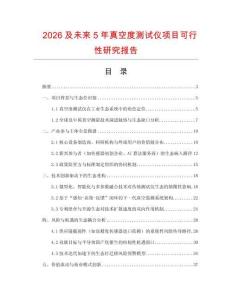 2026及未來5年真空度測試儀項目可行性研究報告