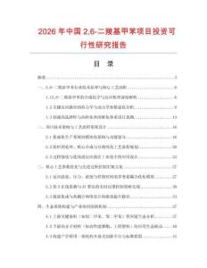 2026年中國26-二羧基甲苯項目投資可行性研究報告