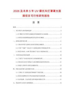 2026及未來(lái)5年UV摩托車燈罩罩光面漆項(xiàng)目可行性研究報(bào)告